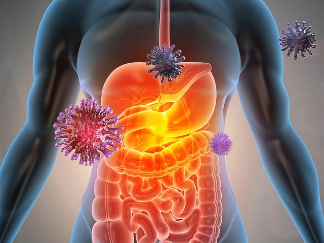 Le lien entre les infections par les vers et les problèmes gastro-intestinaux